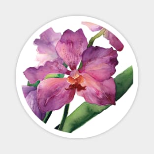 Purple Phalaenopsis Orchid Magnet